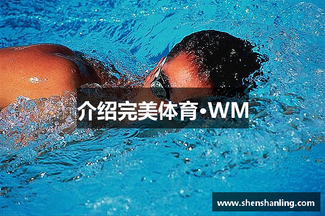 介绍完美体育·WM